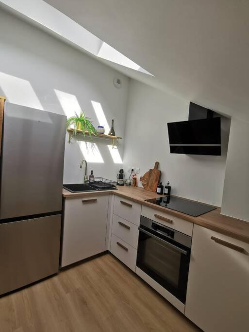 Appartement De Charme A Nancy Buitenkant foto
