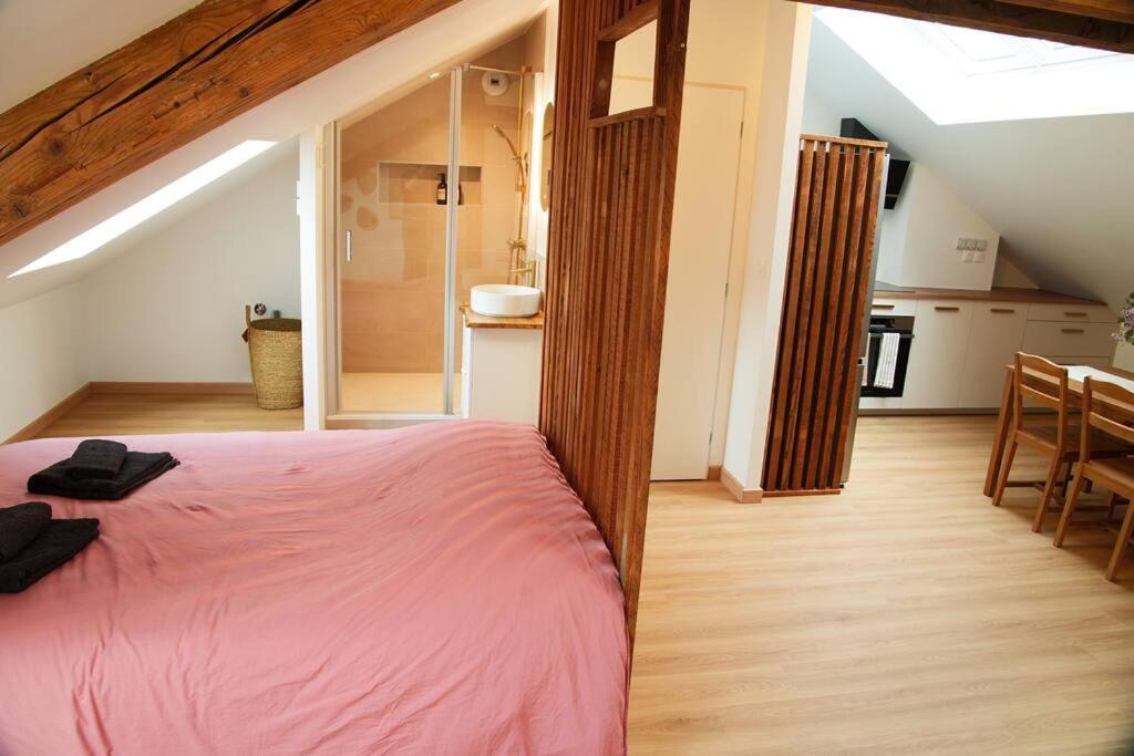 Appartement De Charme A Nancy Buitenkant foto