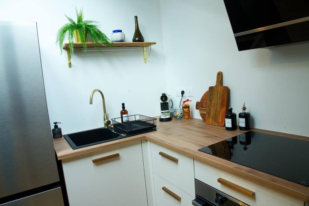 Appartement De Charme A Nancy Buitenkant foto