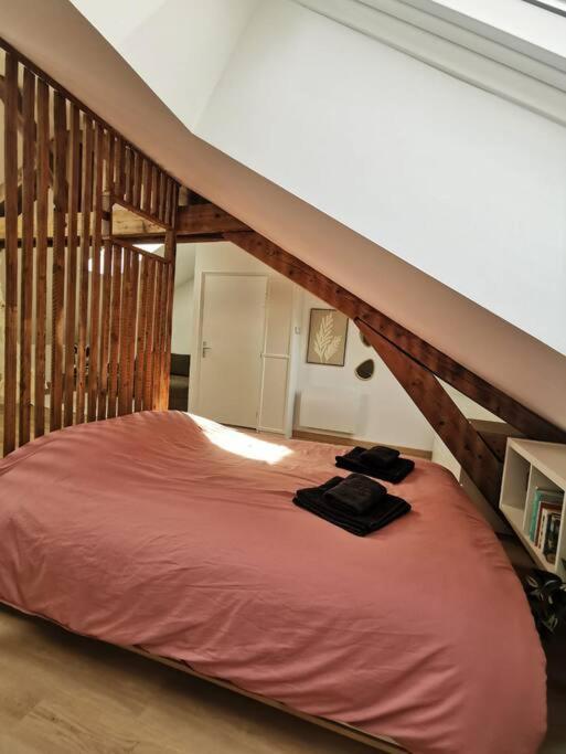 Appartement De Charme A Nancy Buitenkant foto